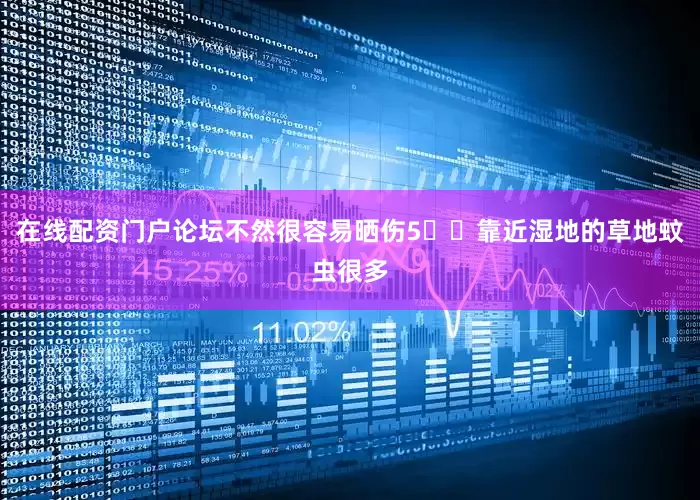 在线配资门户论坛不然很容易晒伤5️⃣靠近湿地的草地蚊虫很多