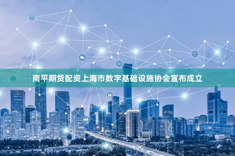 南平期货配资上海市数字基础设施协会宣布成立