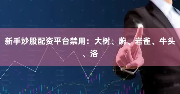 新手炒股配资平台禁用：大树、蔚、岩雀、牛头、洛