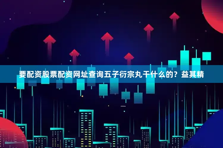 要配资股票配资网址查询五子衍宗丸干什么的？益其精