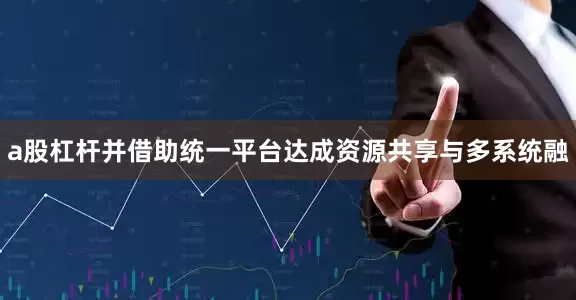 a股杠杆并借助统一平台达成资源共享与多系统融