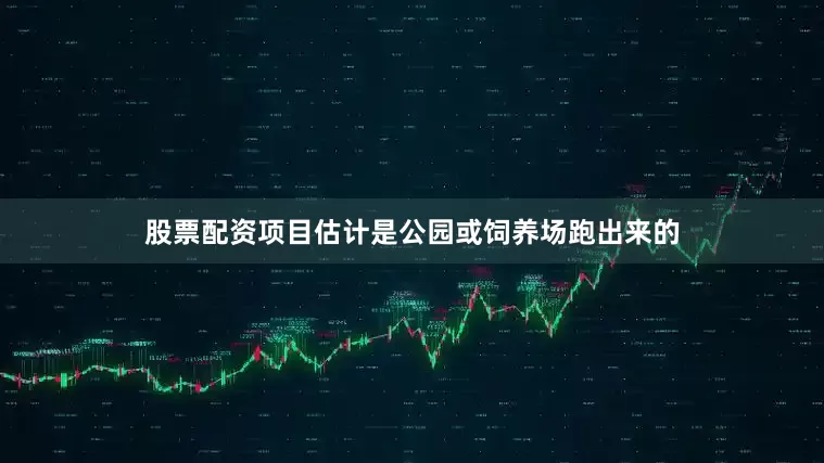 股票配资项目估计是公园或饲养场跑出来的