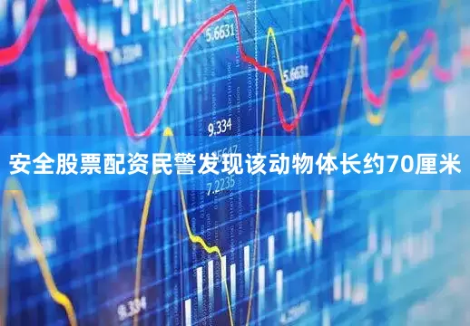 安全股票配资民警发现该动物体长约70厘米
