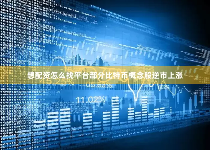 想配资怎么找平台部分比特币概念股逆市上涨