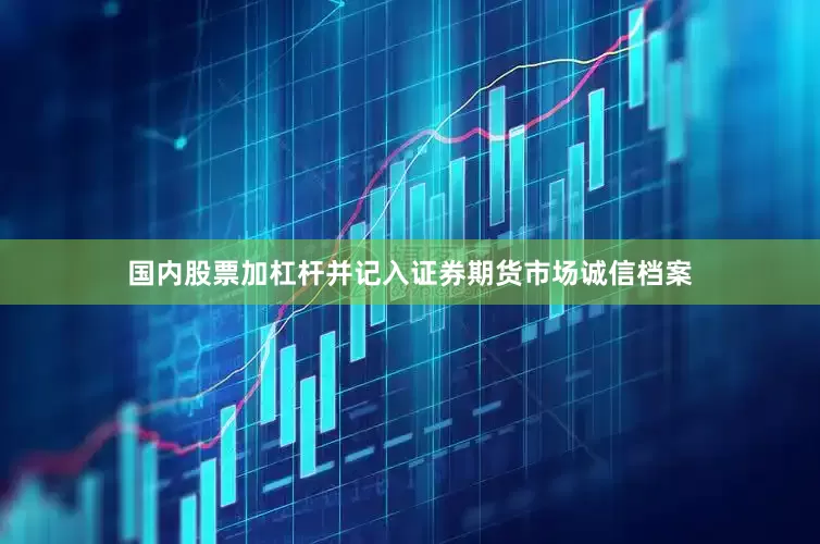 国内股票加杠杆并记入证券期货市场诚信档案