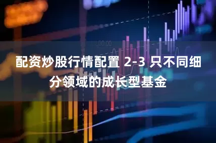 配资炒股行情配置 2-3 只不同细分领域的成长型基金