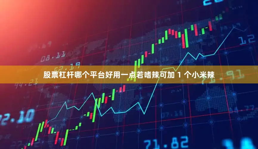 股票杠杆哪个平台好用一点若嗜辣可加 1 个小米辣